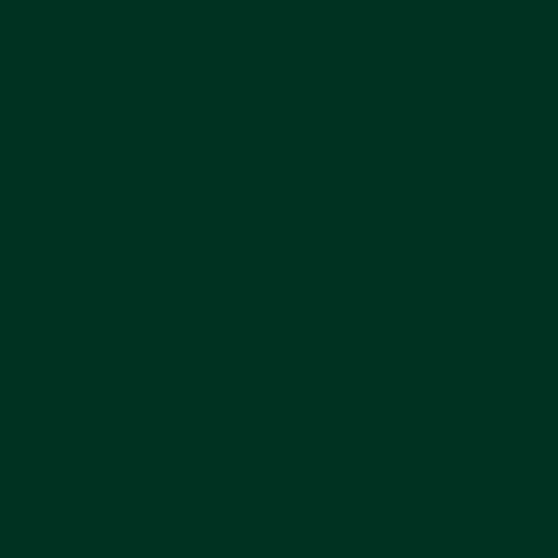 Forest Green&nbsp;(RAL 6009)