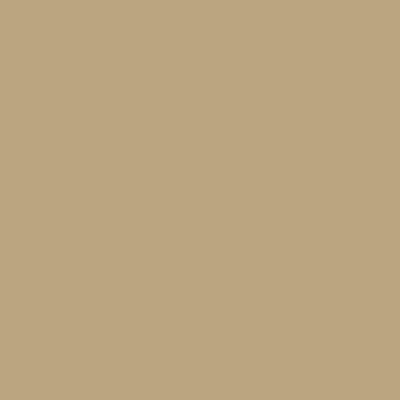 Sand&nbsp;(RAL 1019)