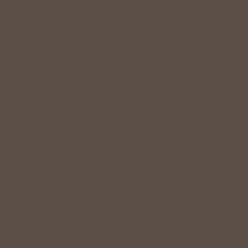 Meteor Bronze